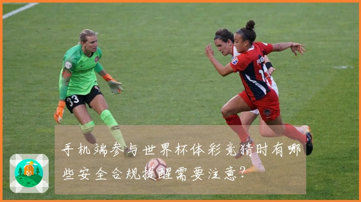 手机端参与世界杯体彩竞猜时有哪些安全合规提醒需要注意？