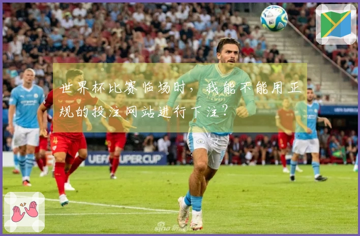 世界杯比赛临场时，我能不能用正规的投注网站进行下注？