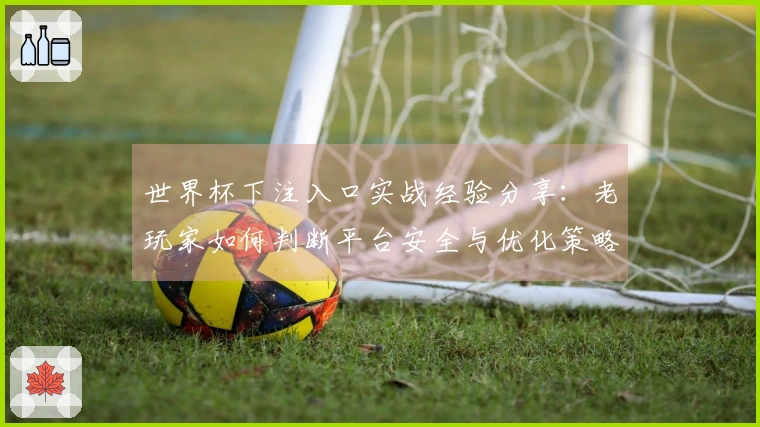 世界杯下注入口实战经验分享：老玩家如何判断平台安全与优化策略