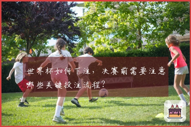 世界杯如何下注，决赛前需要注意哪些关键投注流程？