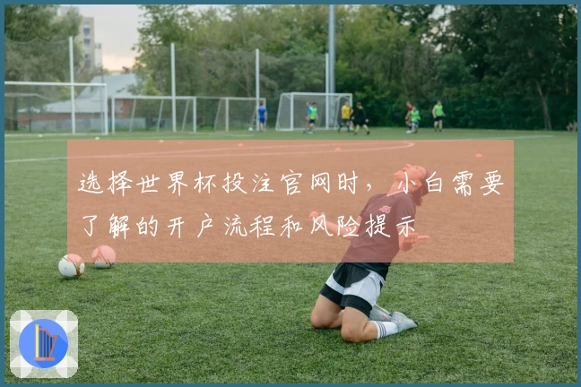 选择世界杯投注官网时，小白需要了解的开户流程和风险提示