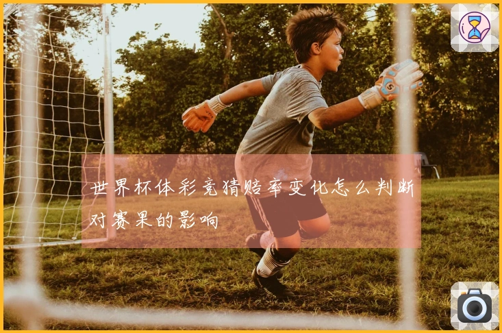 世界杯体彩竞猜赔率变化怎么判断对赛果的影响